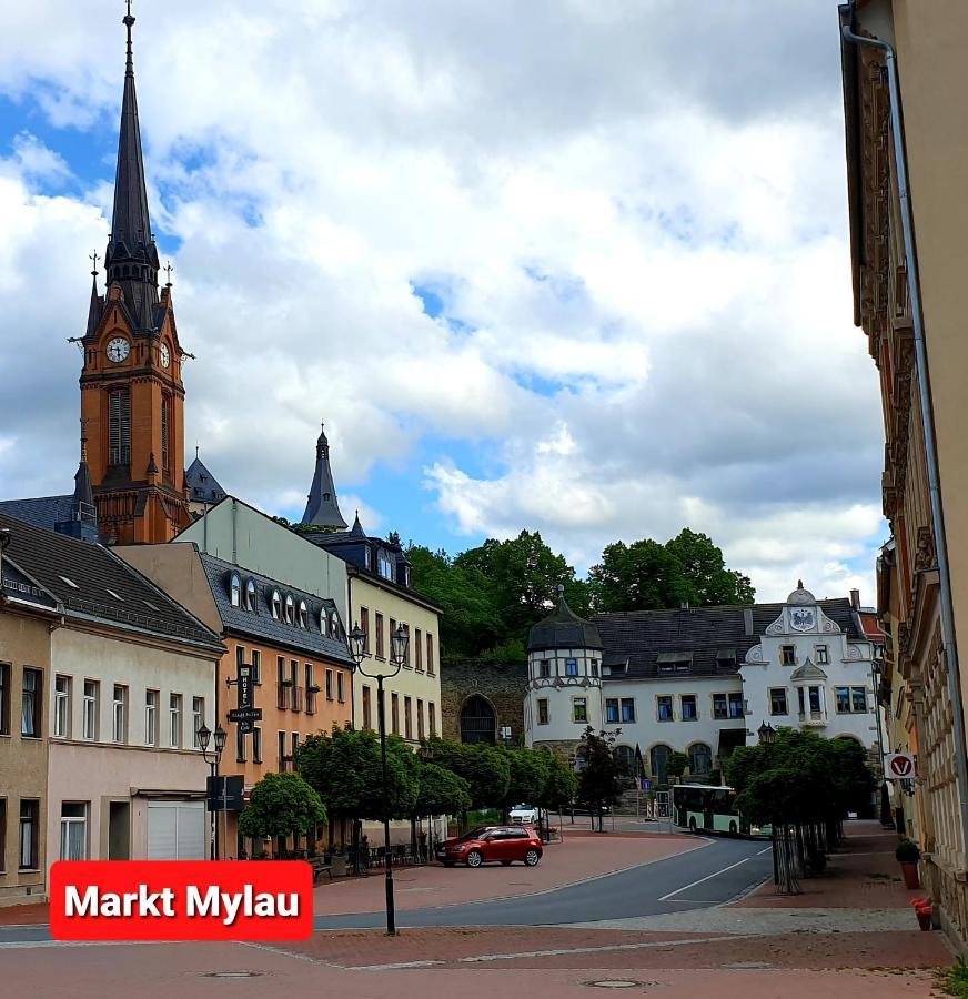 Ferienwohnung "Blick Mylau" - Naehe Freizeitpark Plohn & Weltgroesster Ziegelsteinbruecke Райхенбах-им-Фогтланд Экстерьер фото