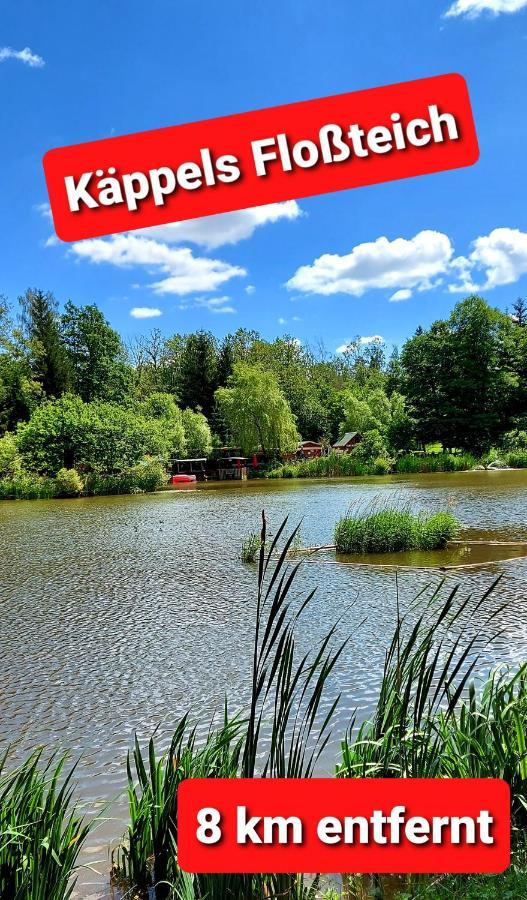 Ferienwohnung "Blick Mylau" - Naehe Freizeitpark Plohn & Weltgroesster Ziegelsteinbruecke Райхенбах-им-Фогтланд Экстерьер фото