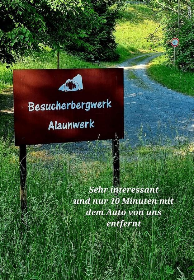 Ferienwohnung "Blick Mylau" - Naehe Freizeitpark Plohn & Weltgroesster Ziegelsteinbruecke Райхенбах-им-Фогтланд Экстерьер фото
