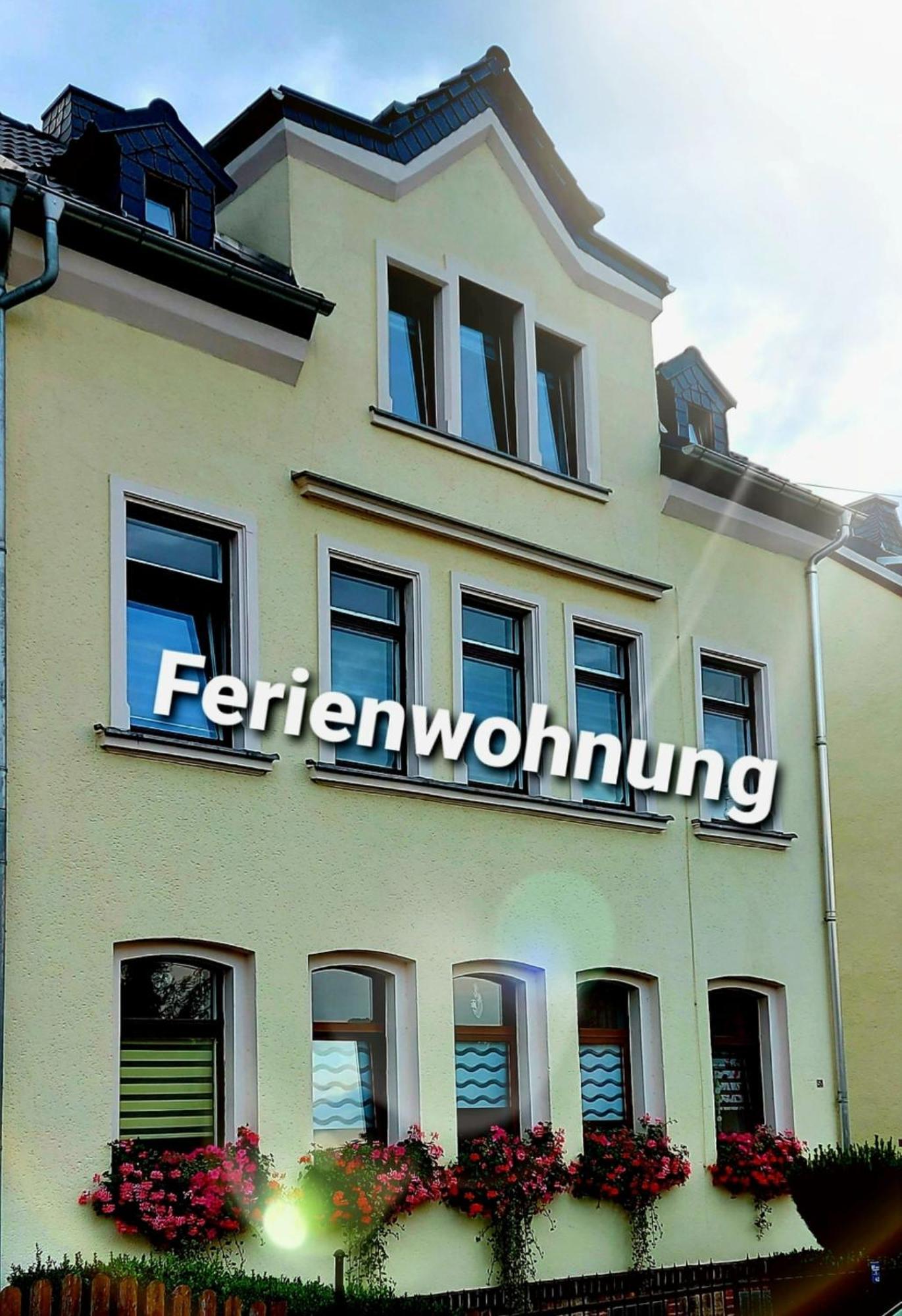 Ferienwohnung "Blick Mylau" - Naehe Freizeitpark Plohn & Weltgroesster Ziegelsteinbruecke Райхенбах-им-Фогтланд Экстерьер фото